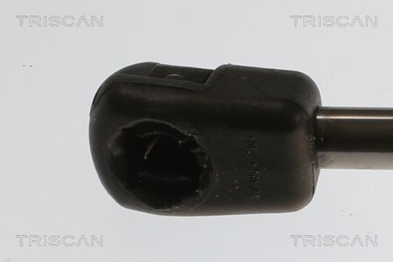 TRISCAN 8710 82009 Gasfeder Hinten für Mg