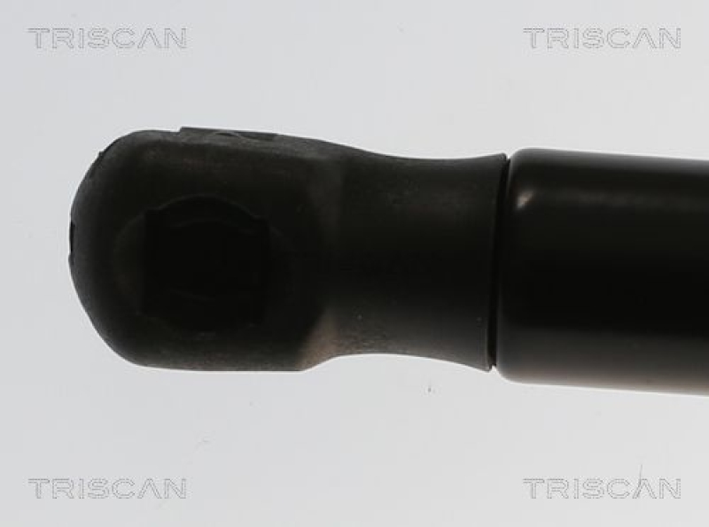 TRISCAN 8710 82011 Gasfeder Vorne für Mg