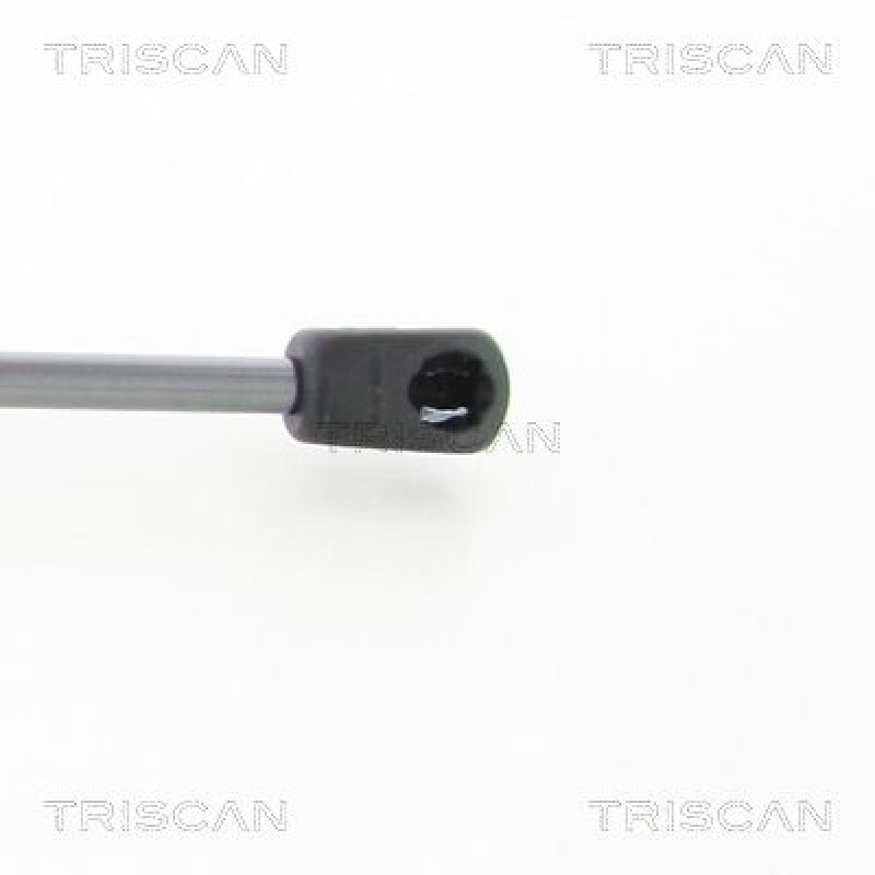 TRISCAN 8710 14252 Gasfeder Hinten für Micra Iv