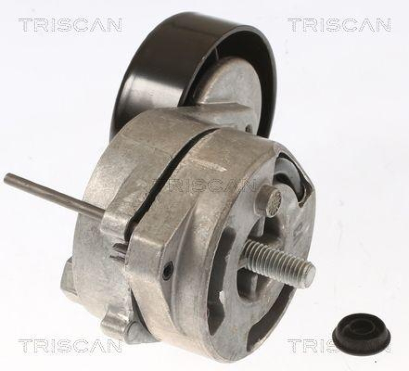 TRISCAN 8641 293024 Spannrolle für Audi