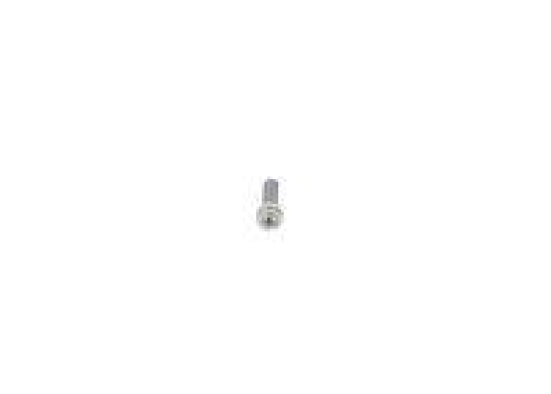 Bosch 2 912 738 203 Torx-Zylinderschraube