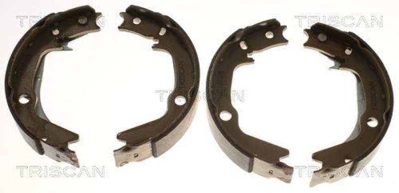 TRISCAN 8100 43022 Bremsbacken für Hyundai Getz, Sonata, Kia