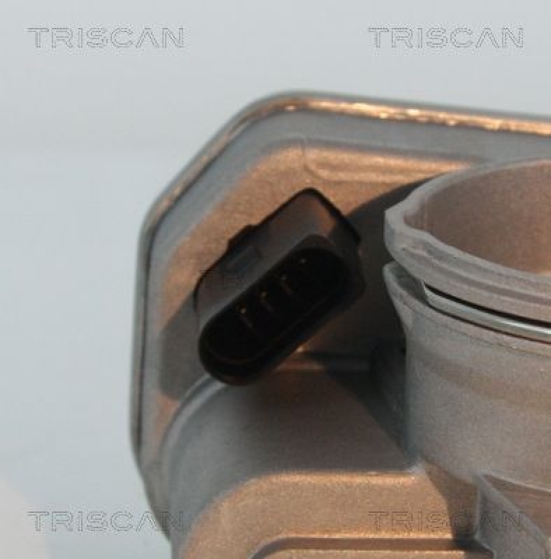 TRISCAN 8820 29029 Drosselklappen für Vag