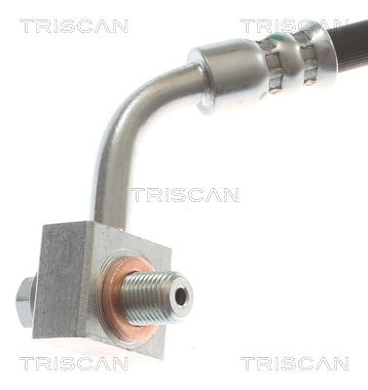 TRISCAN 8150 81010 Bremsschlauch Vorne für Tesla