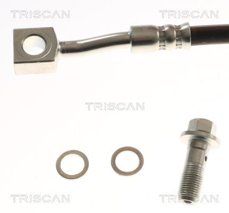 TRISCAN 8150 81209 Bremsschlauch Hinten für Tesla