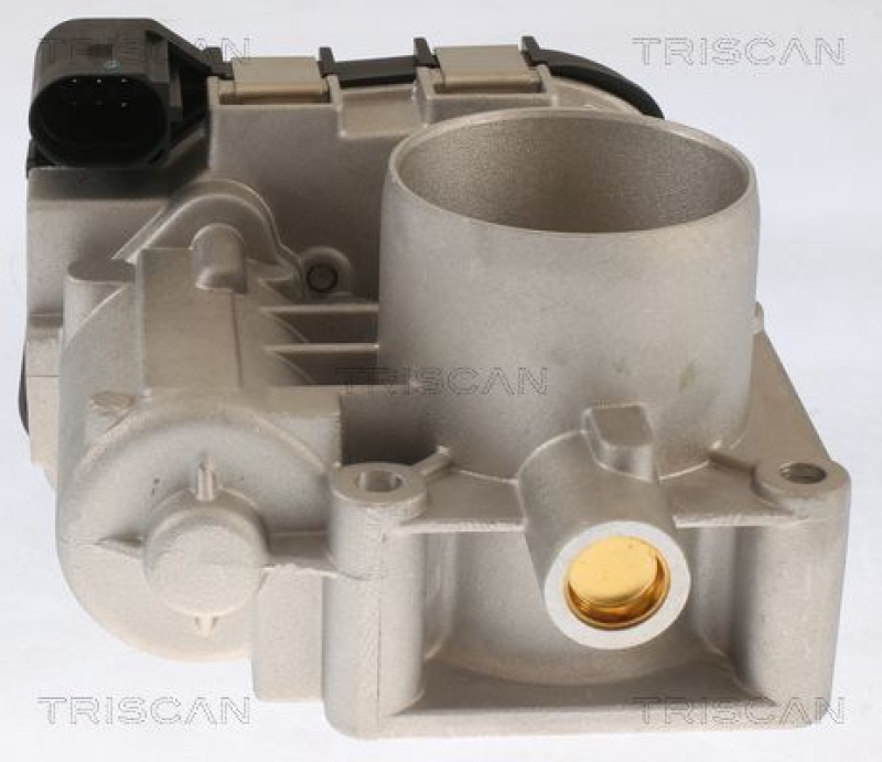 TRISCAN 8820 10005 Drosselklappen für Fiat, Ford