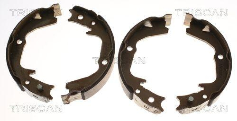 TRISCAN 8100 68002 Bremsbacken, Feststellbremse für Subaru Legacy, Outback