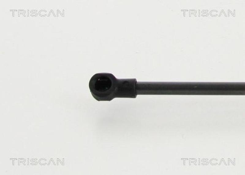 TRISCAN 8710 20206 Gasfeder Hinten für Porsche Cayman