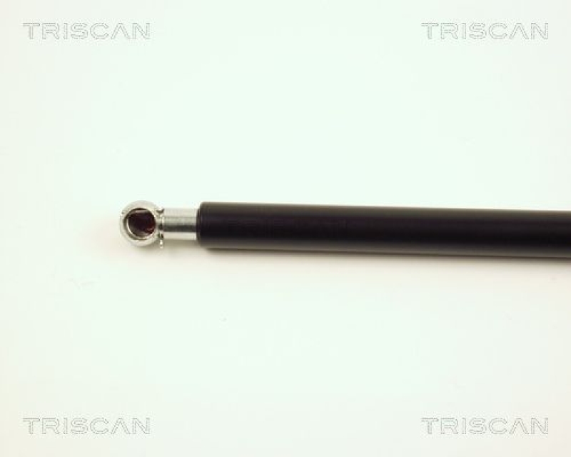 TRISCAN 8710 23204 Gasfeder Hinten für Mcc Smart