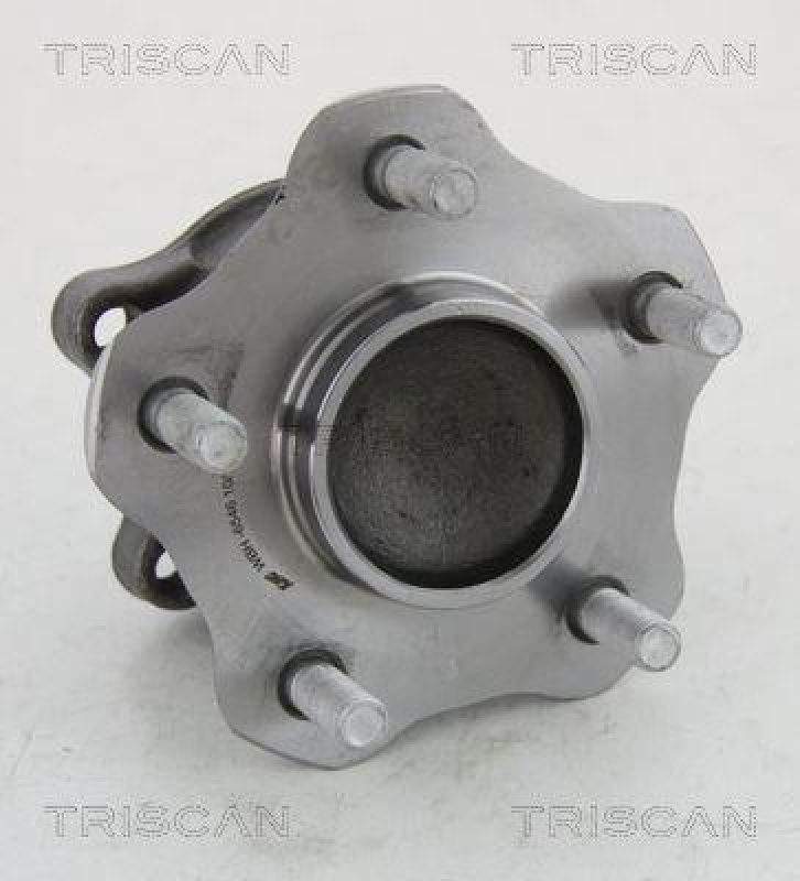 TRISCAN 8530 14261 Radnabe Hinten für Nissan Juke, Leaf