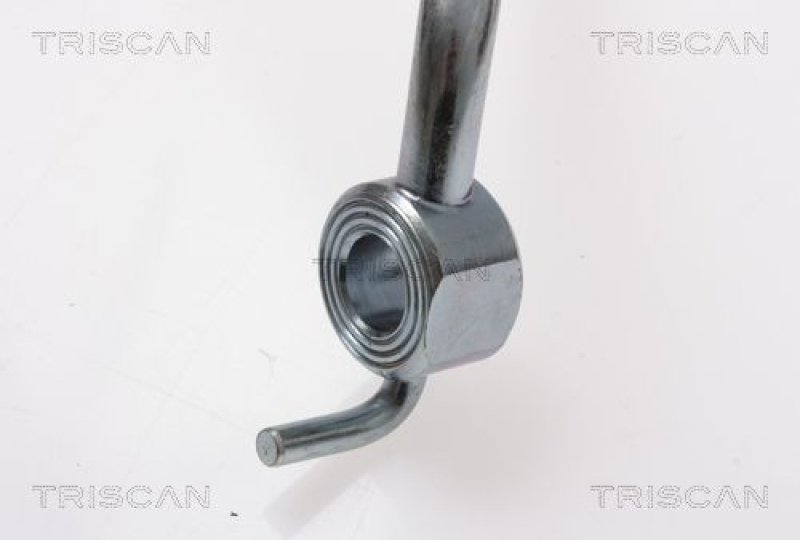 TRISCAN 8150 16121 Bremsschlauch Vorne für Ford Transit