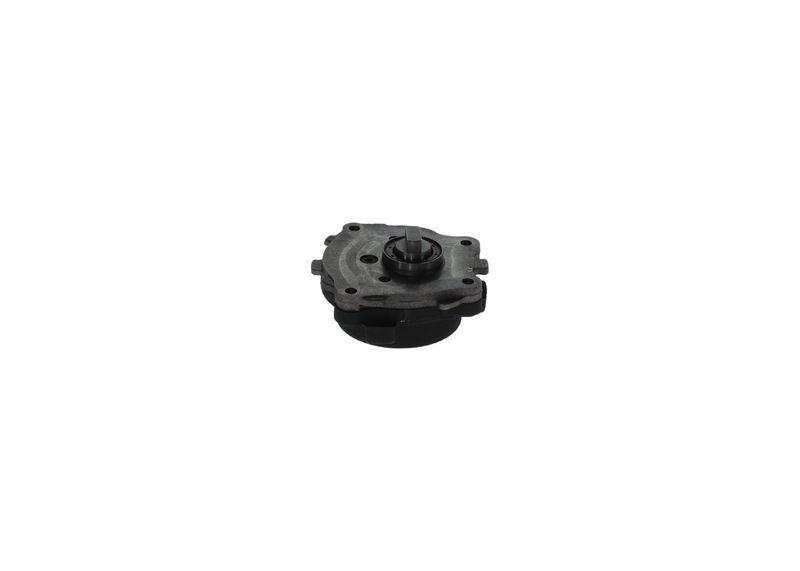 Bosch 0 440 050 007 Zahnradpumpe