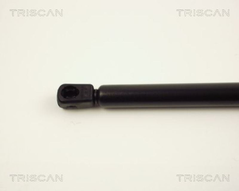 TRISCAN 8710 24223 Gasfeder Hinten für Opel Corsa C