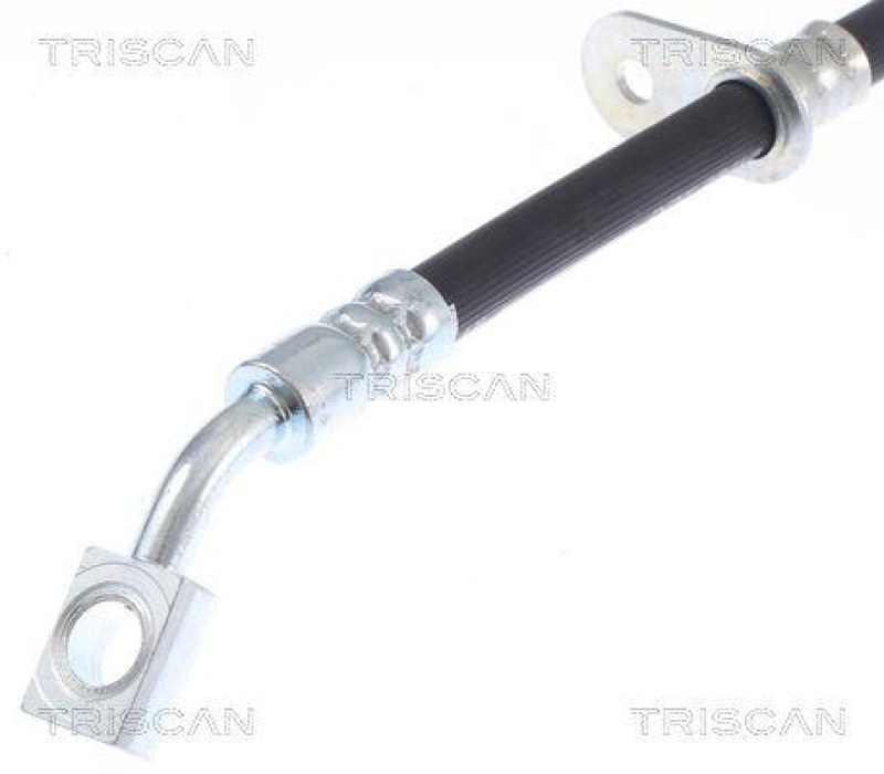 TRISCAN 8150 162007 Bremsschlauch Hinten für Ford