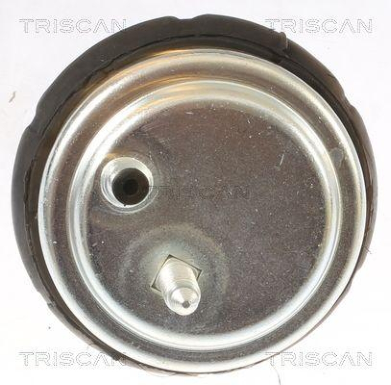 TRISCAN 8505 11102 Motoraufhängung für Bmw 5 Serie E39