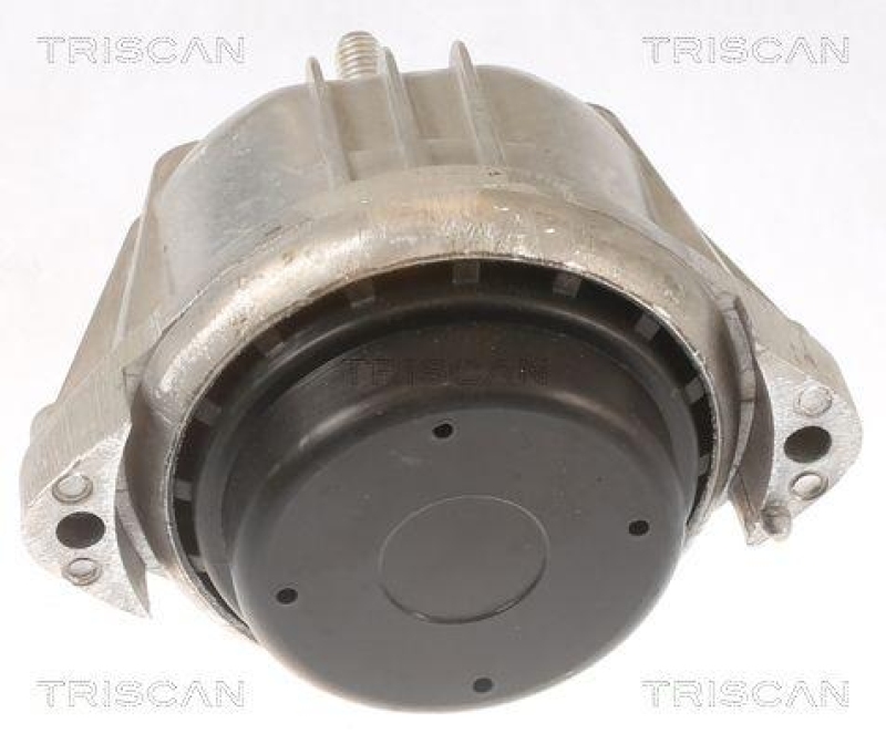 TRISCAN 8505 11106 Motoraufhängung für Bmw