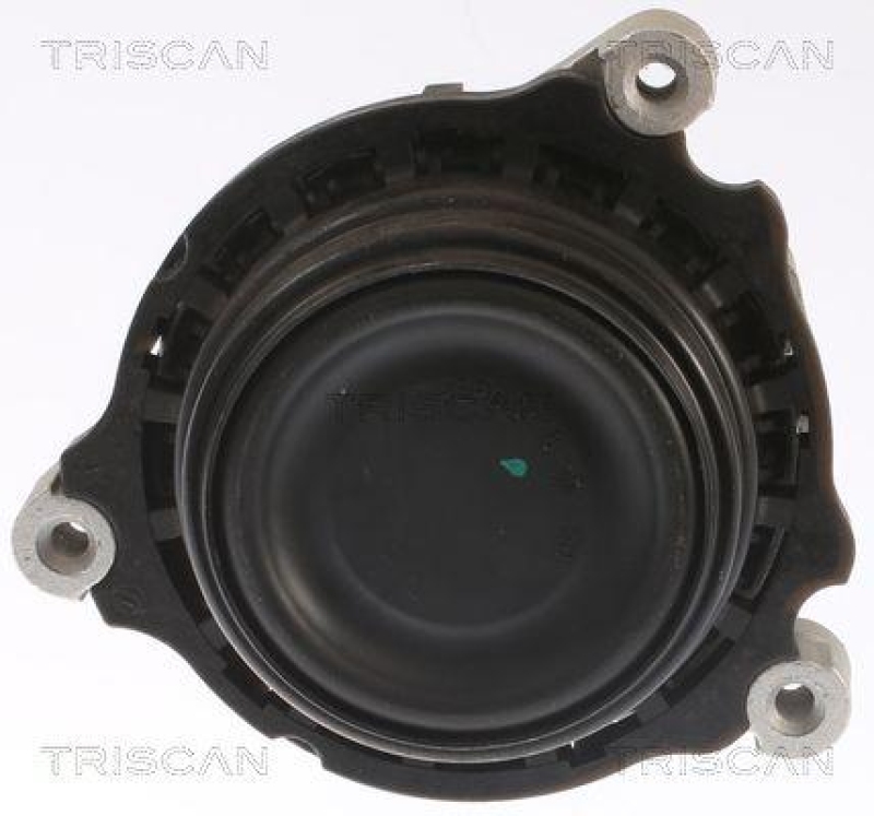 TRISCAN 8505 11109 Motoraufhängung für Bmw