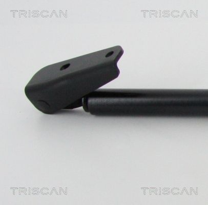 TRISCAN 8710 68219 Gasfeder Hinten für Subaru