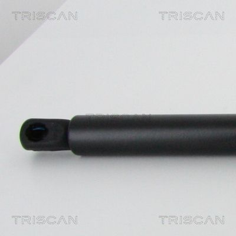 TRISCAN 8710 24258 Gasfeder Hinten für Opel