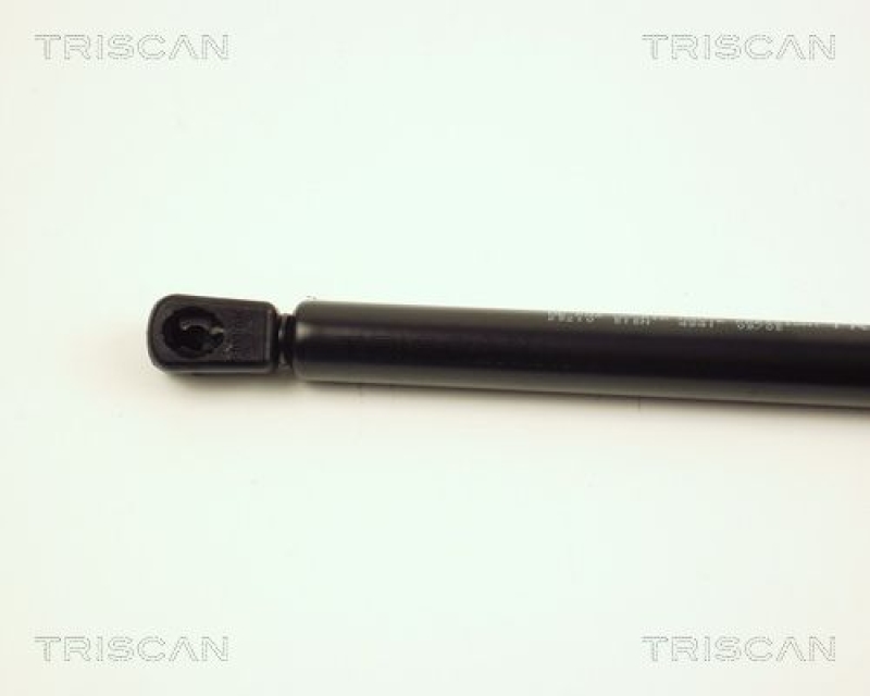 TRISCAN 8710 25210 Gasfeder Hinten für Renault Megane Scénic