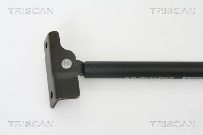 TRISCAN 8710 69220 Gasfeder Hinten für Suzuki Ignis I Fh