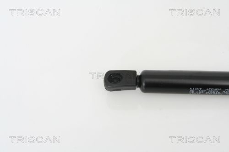 TRISCAN 8710 25232 Gasfeder Hinten für Renault Megane Kombi Ii