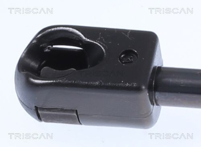 TRISCAN 8710 25242 Gasfeder Hinten für Renault Clio Grandtour