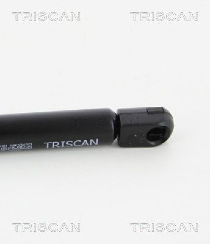 TRISCAN 8710 25262 Gasfeder Hinten für Renault