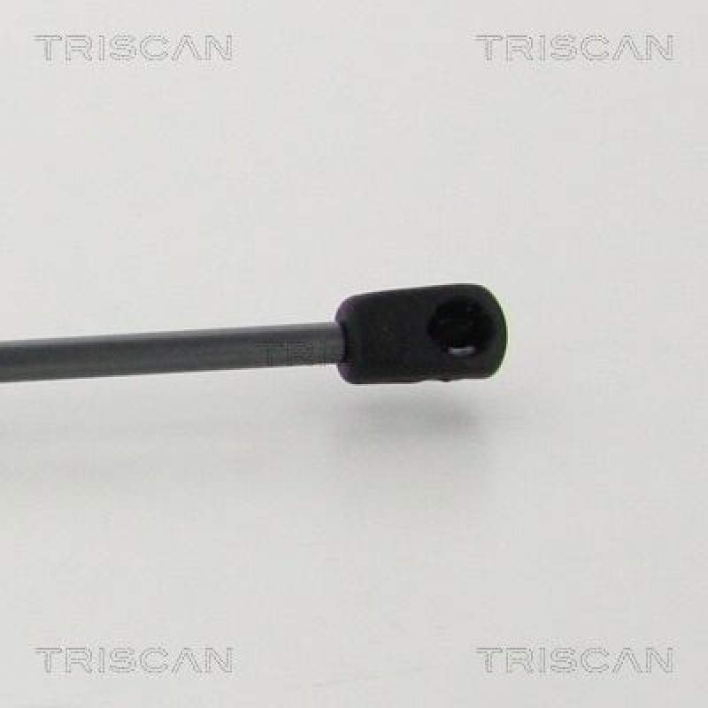 TRISCAN 8710 25274 Gasfeder Hinten für Renault