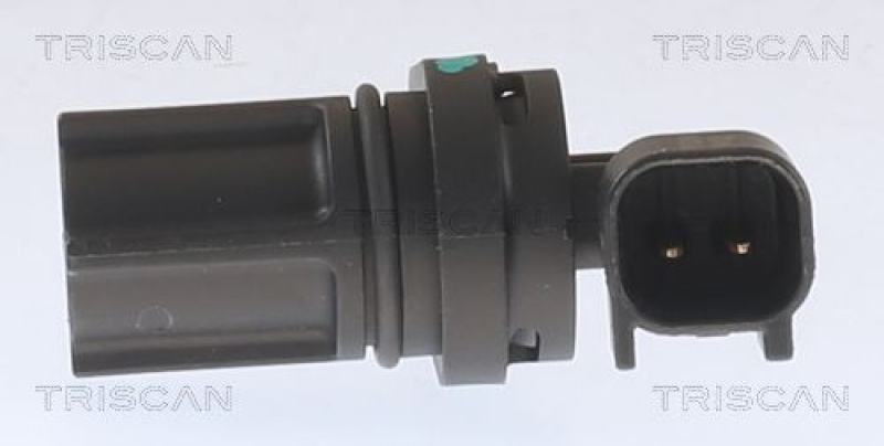 TRISCAN 8180 80212 Sensor, Raddrehzahl für Ford