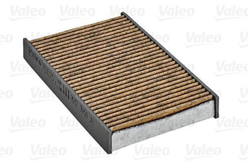 VALEO 701025 Innenraumfilter (Polyphenol)