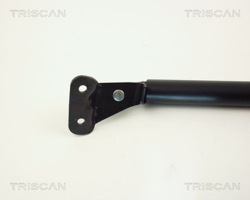 TRISCAN 8710 10201 Gasfeder Hinten für Opel Agila, Suzuki Wagon R