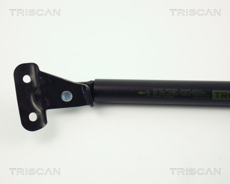 TRISCAN 8710 10202 Gasfeder Hinten für Opel Agila, Suzuki Wagon R