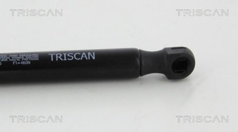 TRISCAN 8710 10216 Gasfeder Hinten für Jaguar X-Type