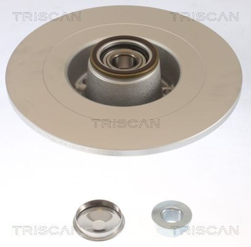 TRISCAN 8120 25170c Bremsscheibe Hinten, Coated für Renault