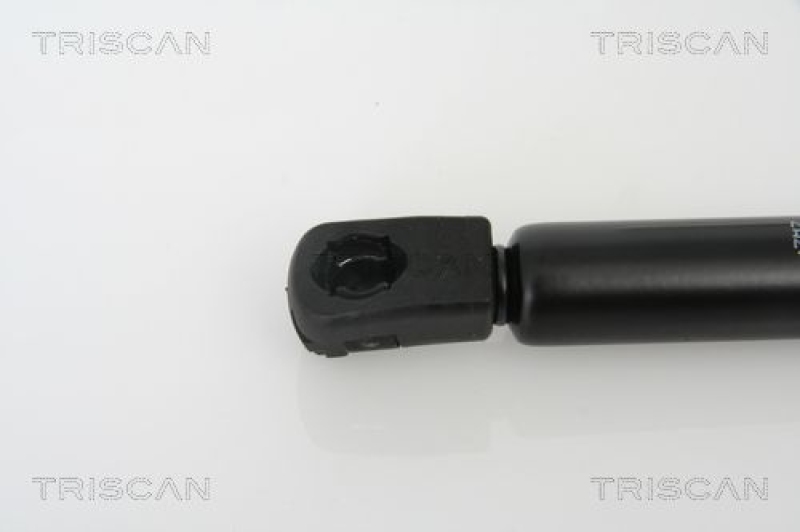 TRISCAN 8710 11111 Gasfeder Vorne für Bmw 1