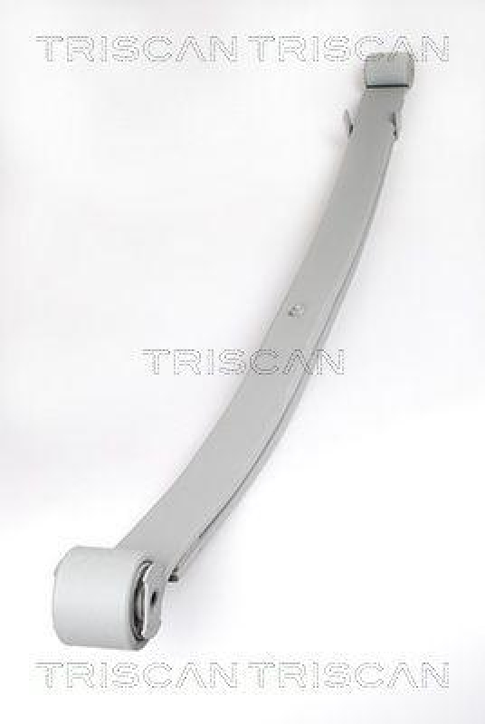 TRISCAN 8765 10005 Blattfeder Hinten für Citroen, Fiat, Peug.