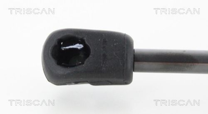 TRISCAN 8710 292034 Gasfeder Hinten für Vw Passat Variant (365)