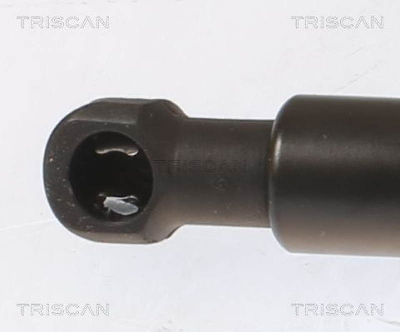 TRISCAN 8710 112017 Gasfeder Hinten für I3 13-