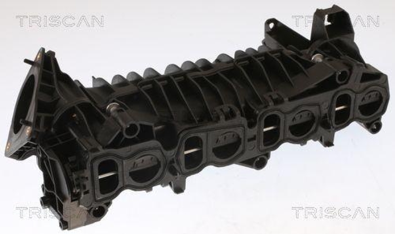 TRISCAN 8910 11101 Intake Manifold für Bmw