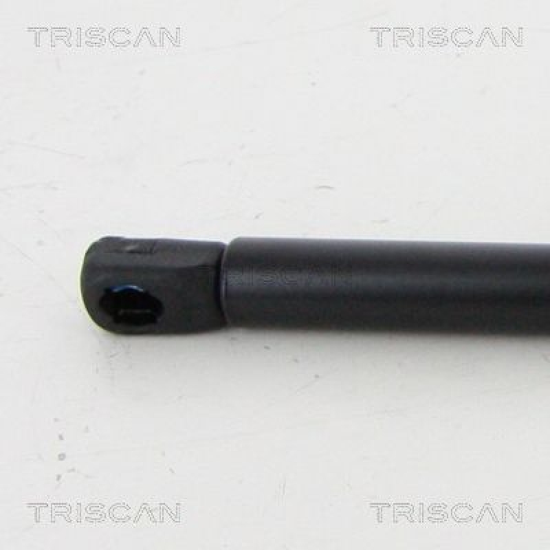 TRISCAN 8710 292054 Gasfeder Hinten für Rapid Spaceback