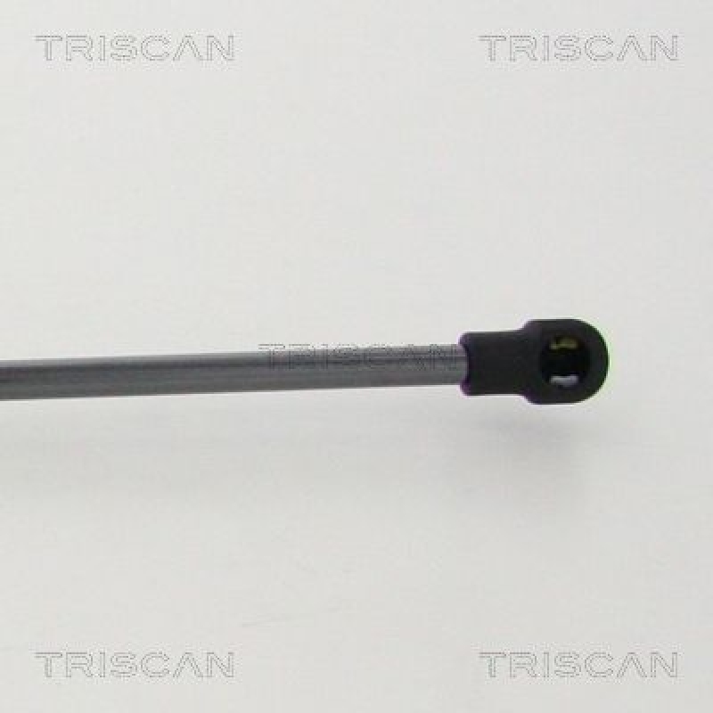 TRISCAN 8710 11244 Gasfeder Hinten für Bmw 6 Coupe