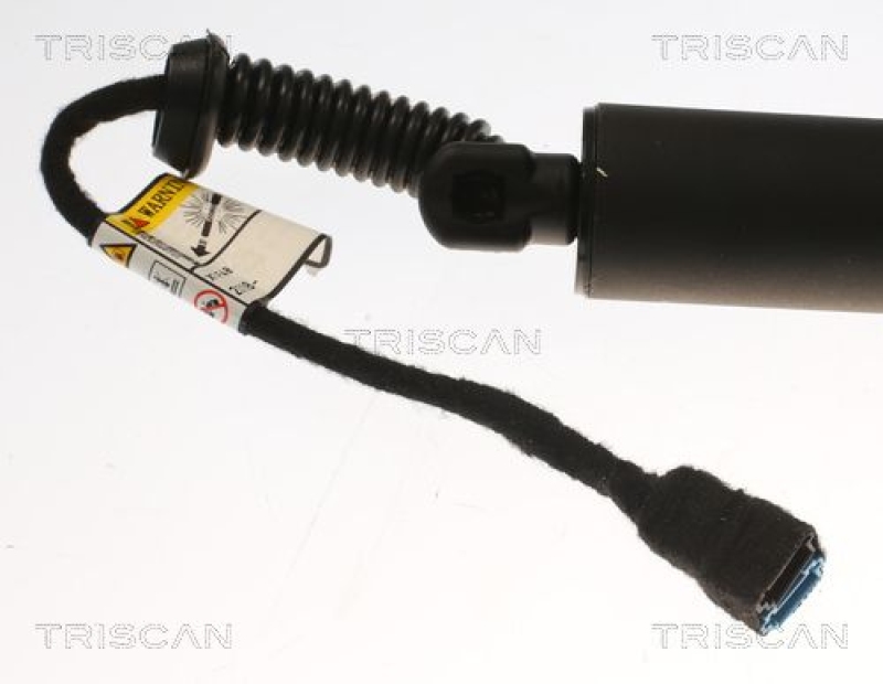 TRISCAN 8710 11358 Elektrische Gasfeder für X1 F48 F49 2018 Lh