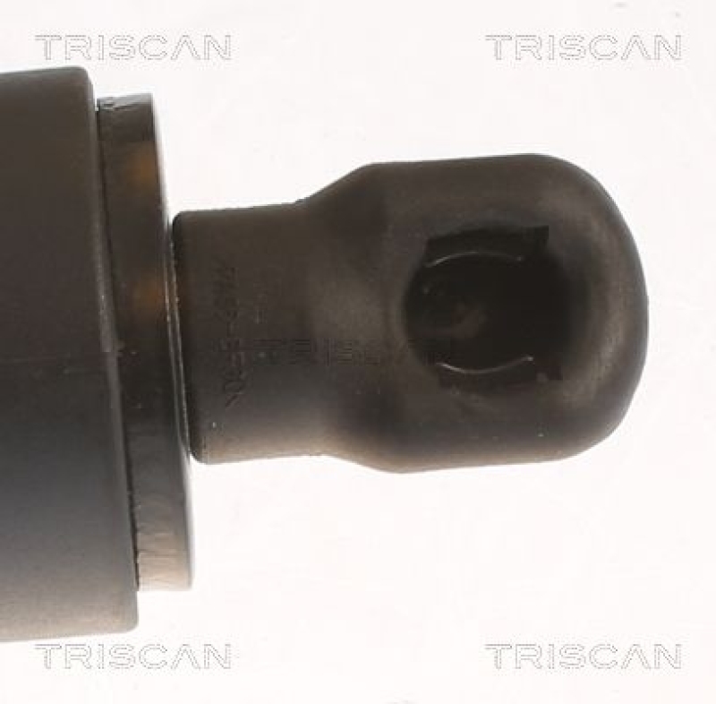 TRISCAN 8710 11359 Gasfeder Hinten für X1 F48 F49 2018 Rh