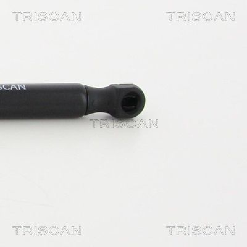 TRISCAN 8710 13279 Gasfeder Hinten für Toyota