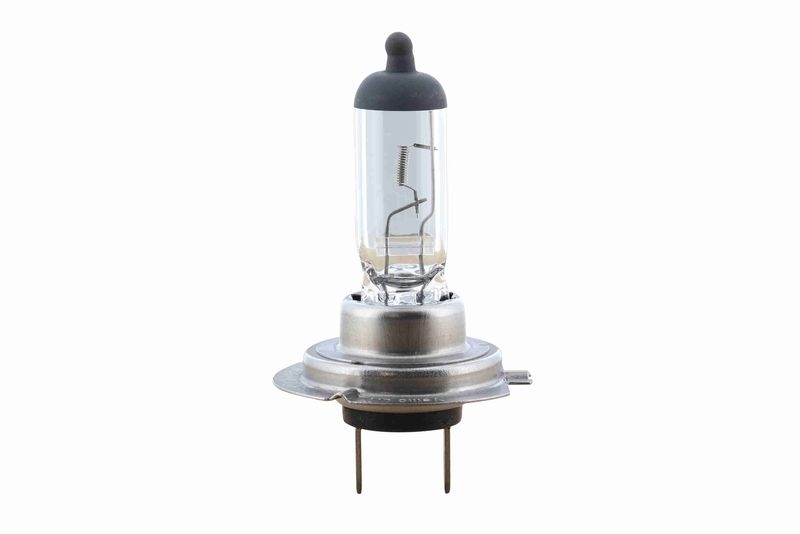 VEMO V99-84-0002 Glühlampe 12 V, 55 W, Lampenart: H7 H7-Halogenlamp