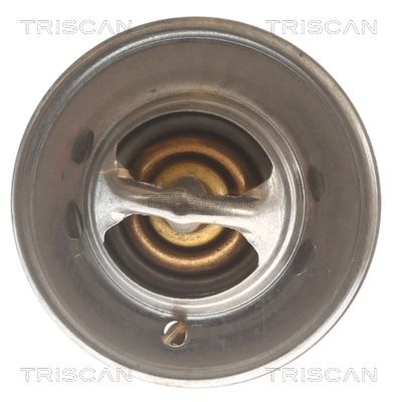 TRISCAN 8620 7888 Thermostat für Rover (1)