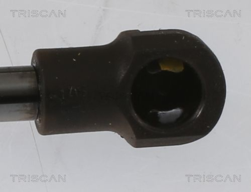 TRISCAN 8710 13296 Gasfeder Hinten für C-Hr 16-