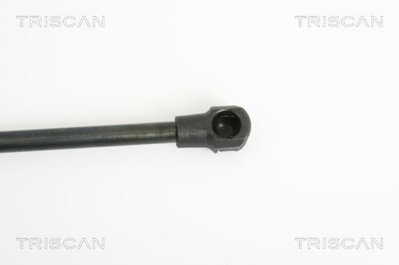 TRISCAN 8710 38220 Gasfeder Hinten für Citroen C4