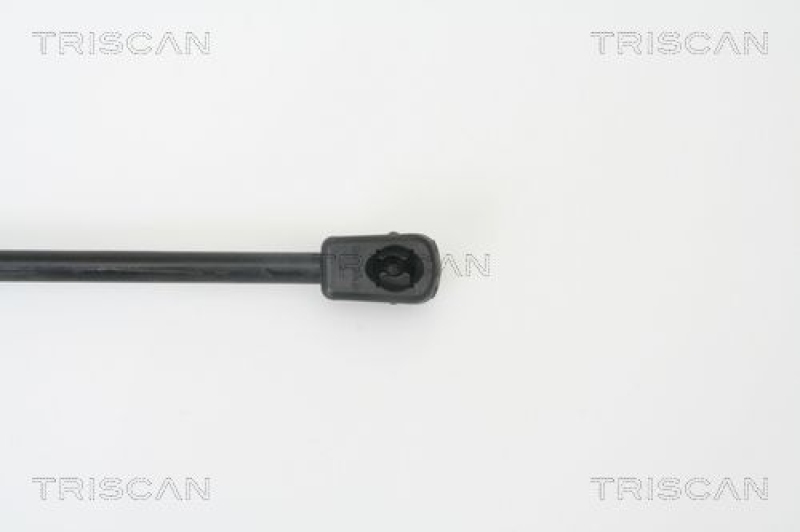 TRISCAN 8710 14243 Gasfeder Hinten für Nissan Micra K12